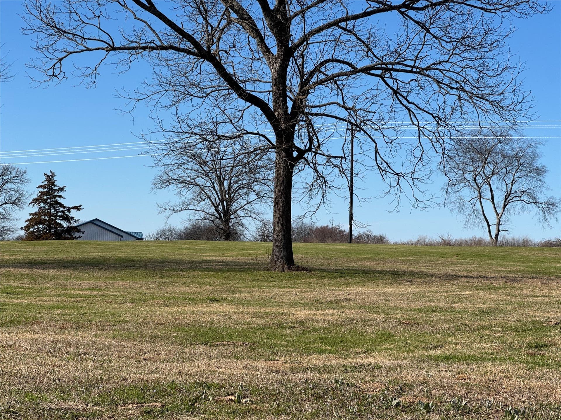 2.09 acres in Wood County - photo 9