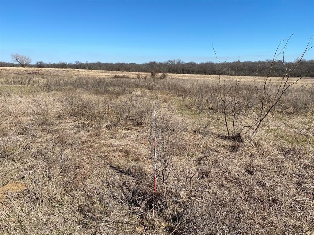 3.61 acres in Navarro County gallery image 4