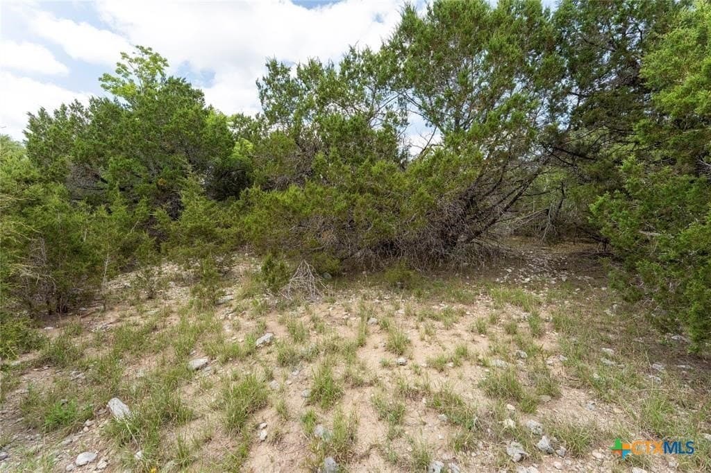 6 acres in Hays County gallery image 4