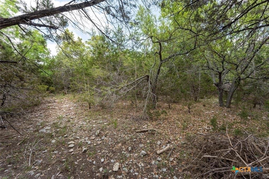 6 acres in Hays County featured view