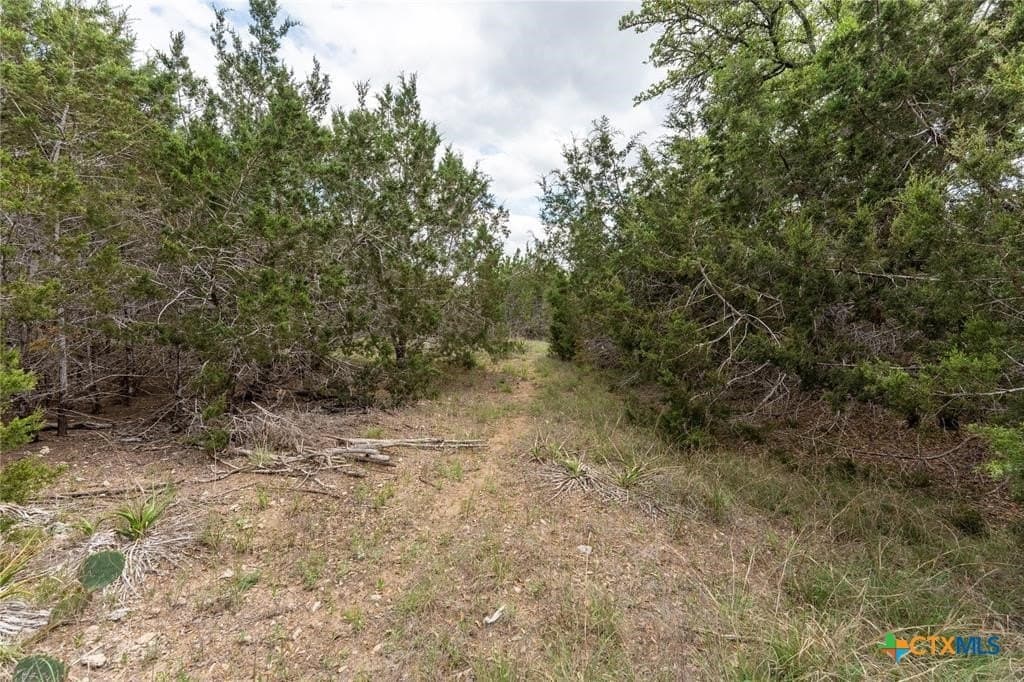 6 acres in Hays County gallery image 3