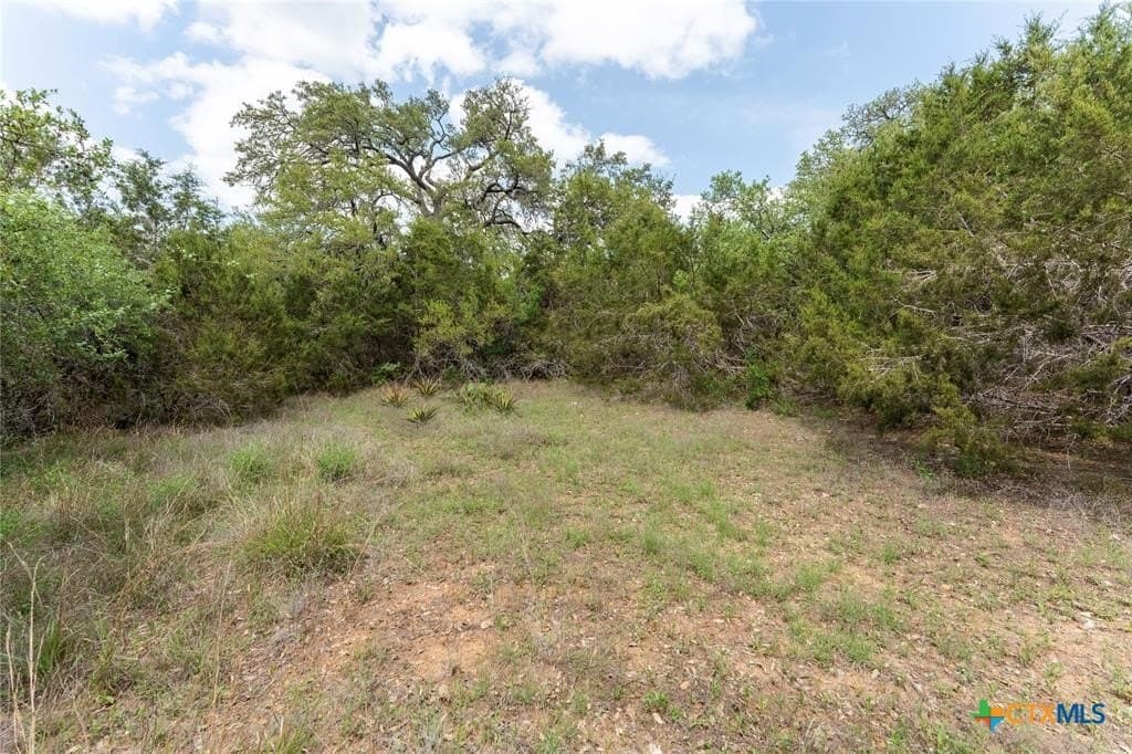6 acres in Hays County gallery image 2