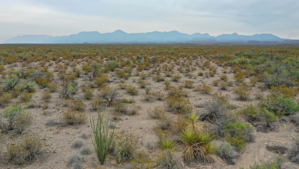 320 acres in Presidio County - photo 21