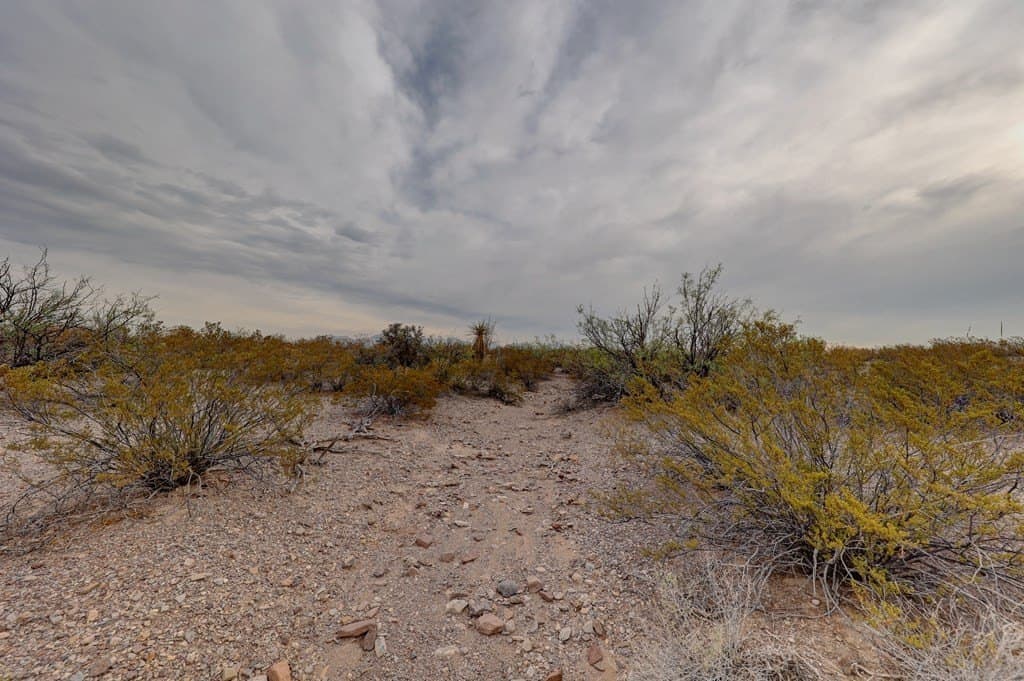 320 acres in Presidio County - photo 8