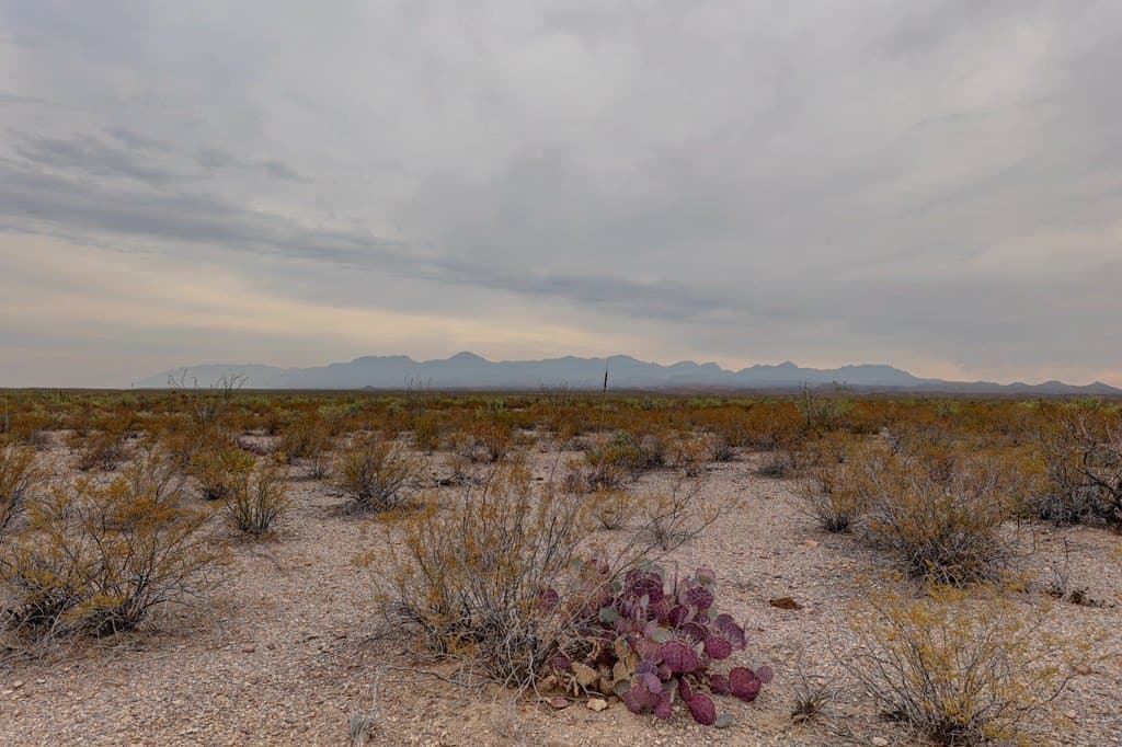 320 acres in Presidio County - photo 32