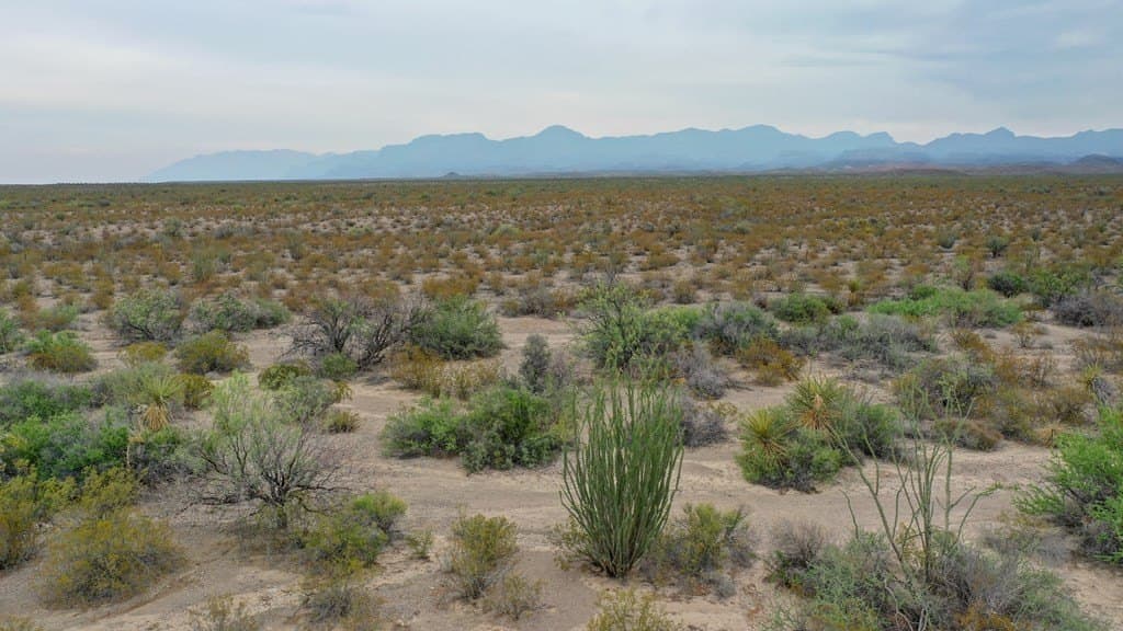 320 acres in Presidio County - photo 10