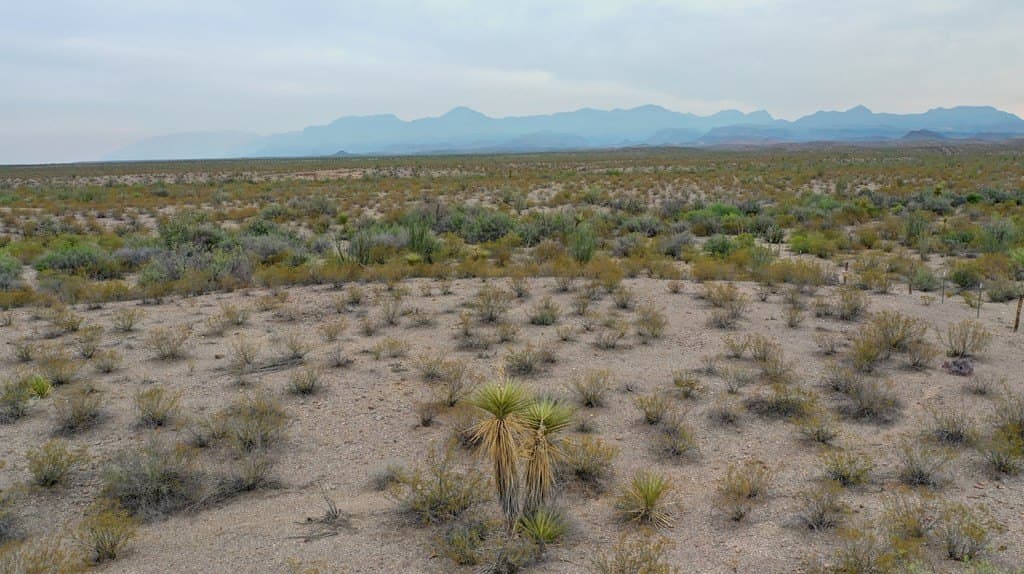 320 acres in Presidio County gallery image 3