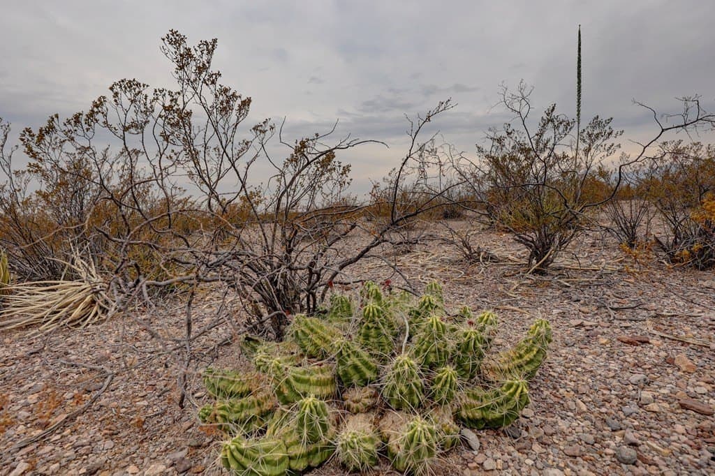 320 acres in Presidio County - photo 20