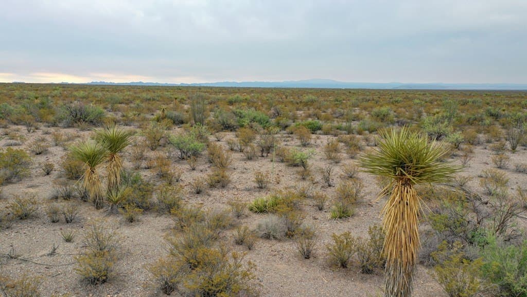 320 acres in Presidio County - photo 16