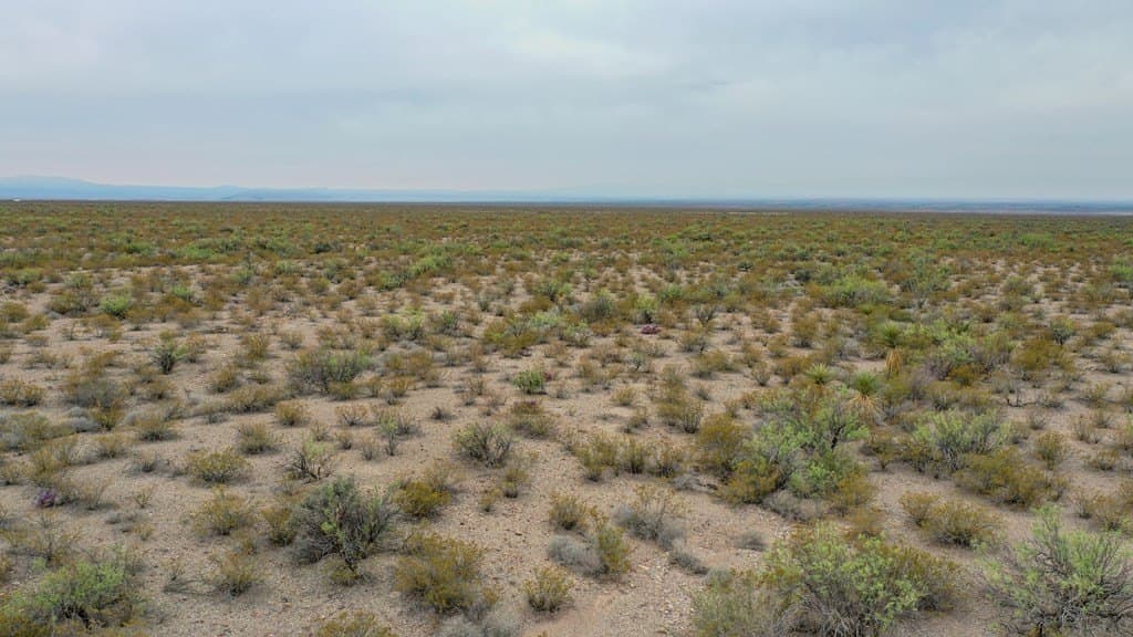 320 acres in Presidio County gallery image 4