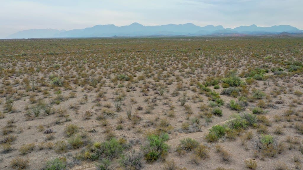 320 acres in Presidio County gallery image 2