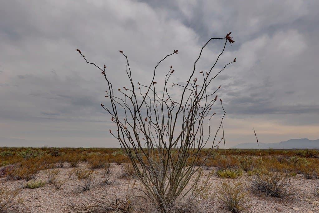 320 acres in Presidio County - photo 15