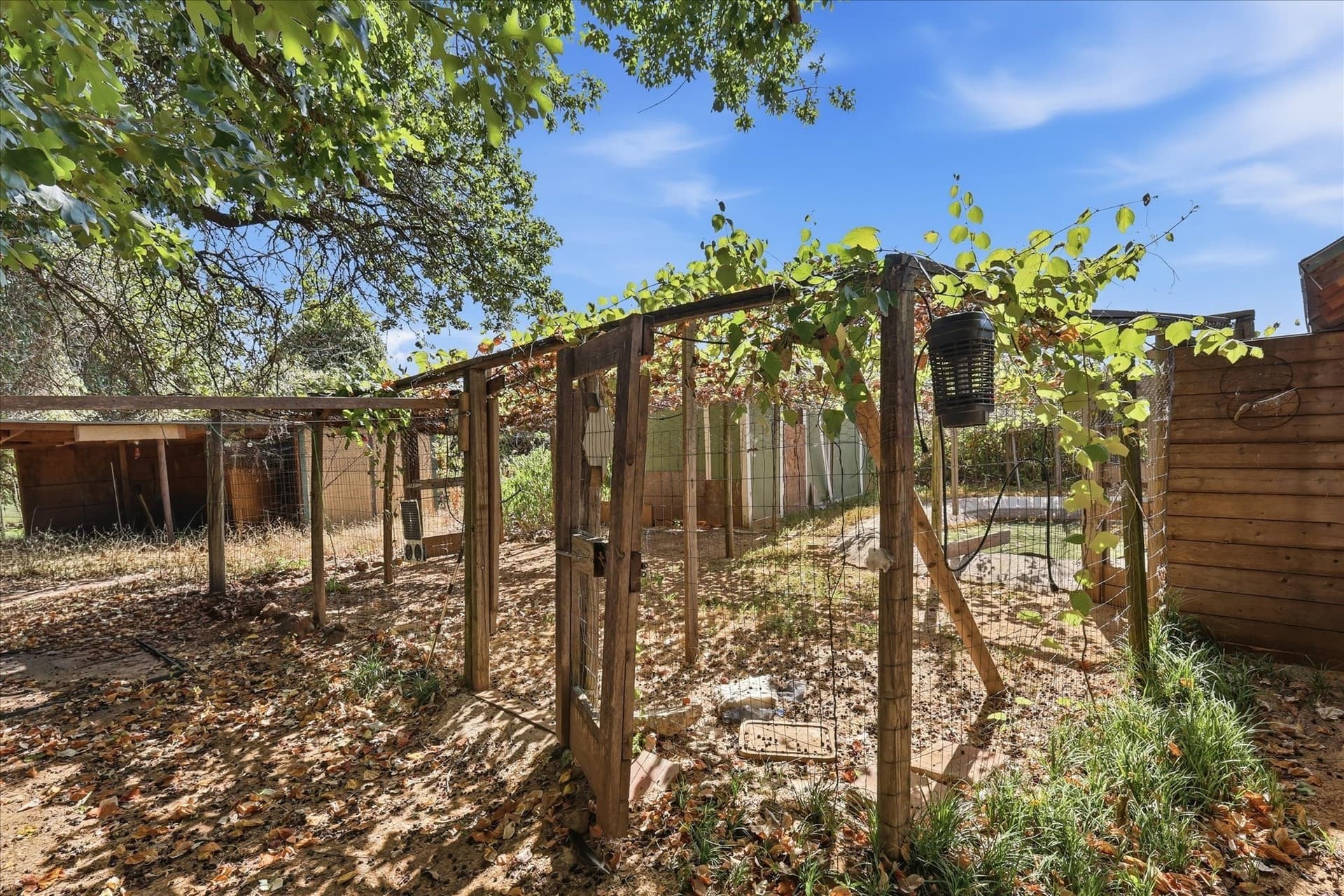 4.38 acres in Denton County - photo 16