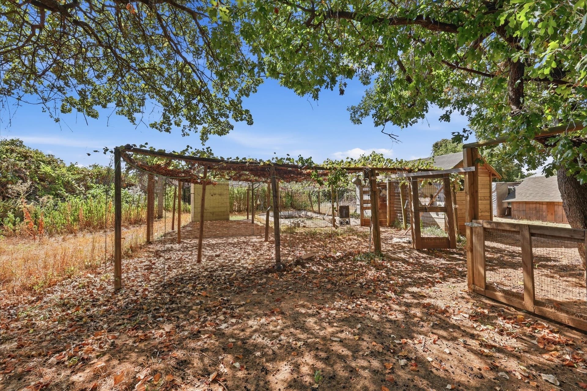 4.38 acres in Denton County - photo 15