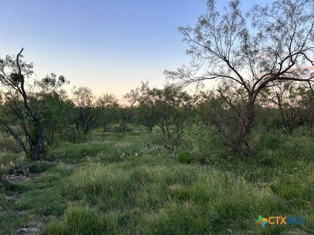 52.03 acres in Schleicher County - photo 9