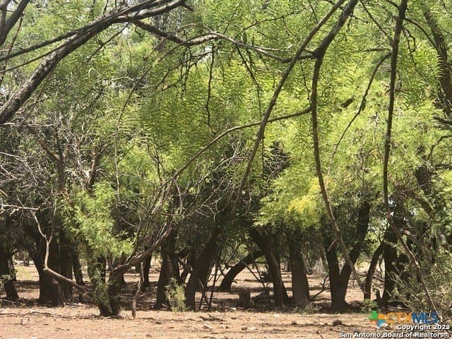 52.03 acres in Schleicher County - photo 13