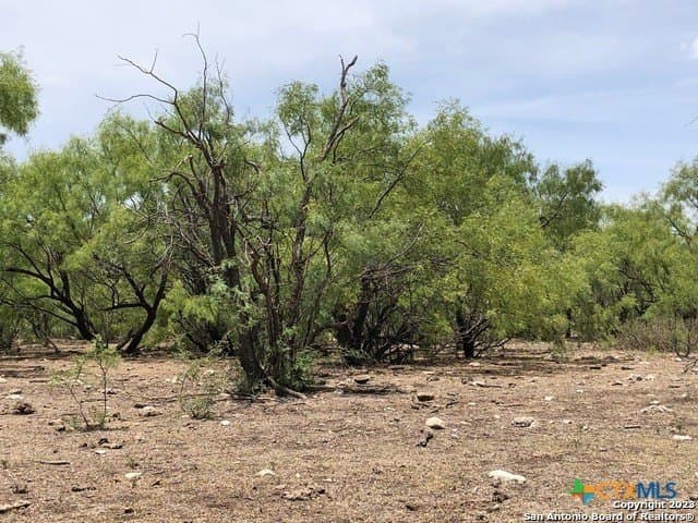 52.03 acres in Schleicher County - photo 26