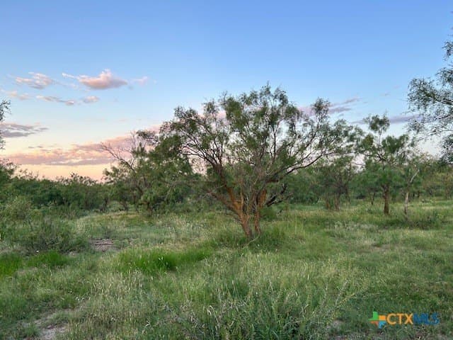 52.03 acres in Schleicher County