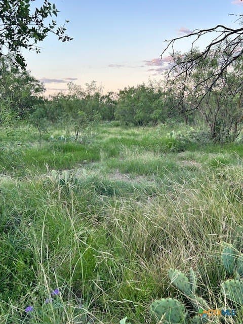 52.03 acres in Schleicher County gallery image 4