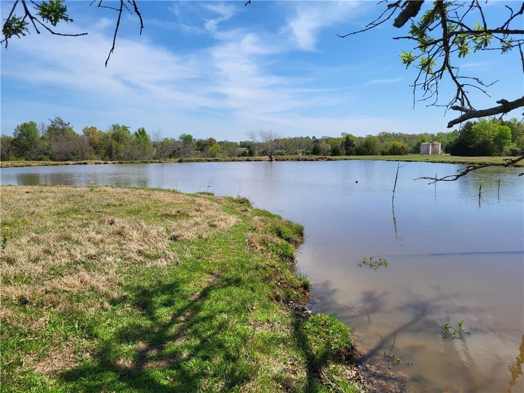 93.4 acres in Limestone County - photo 16