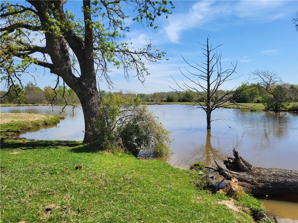 93.4 acres in Limestone County - photo 15