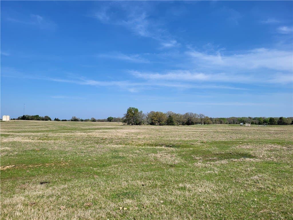 93.4 acres in Limestone County - photo 11
