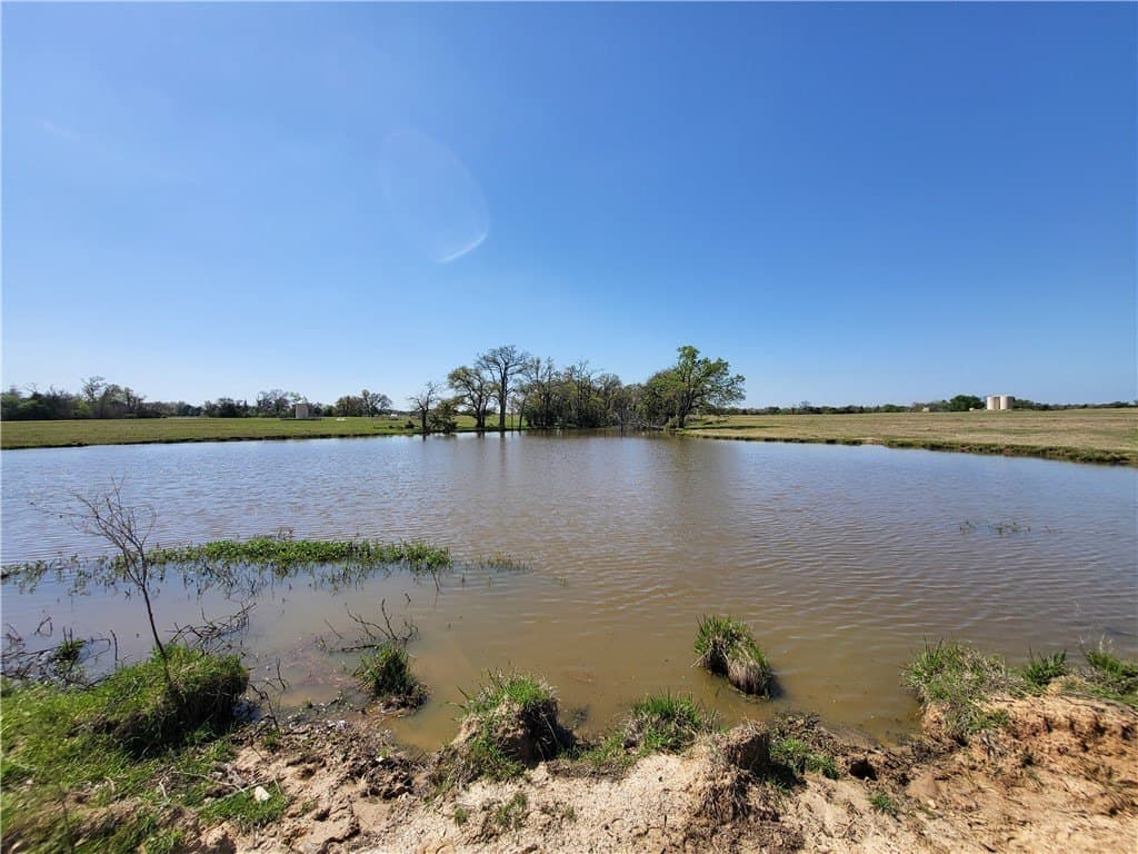 93.4 acres in Limestone County - photo 17