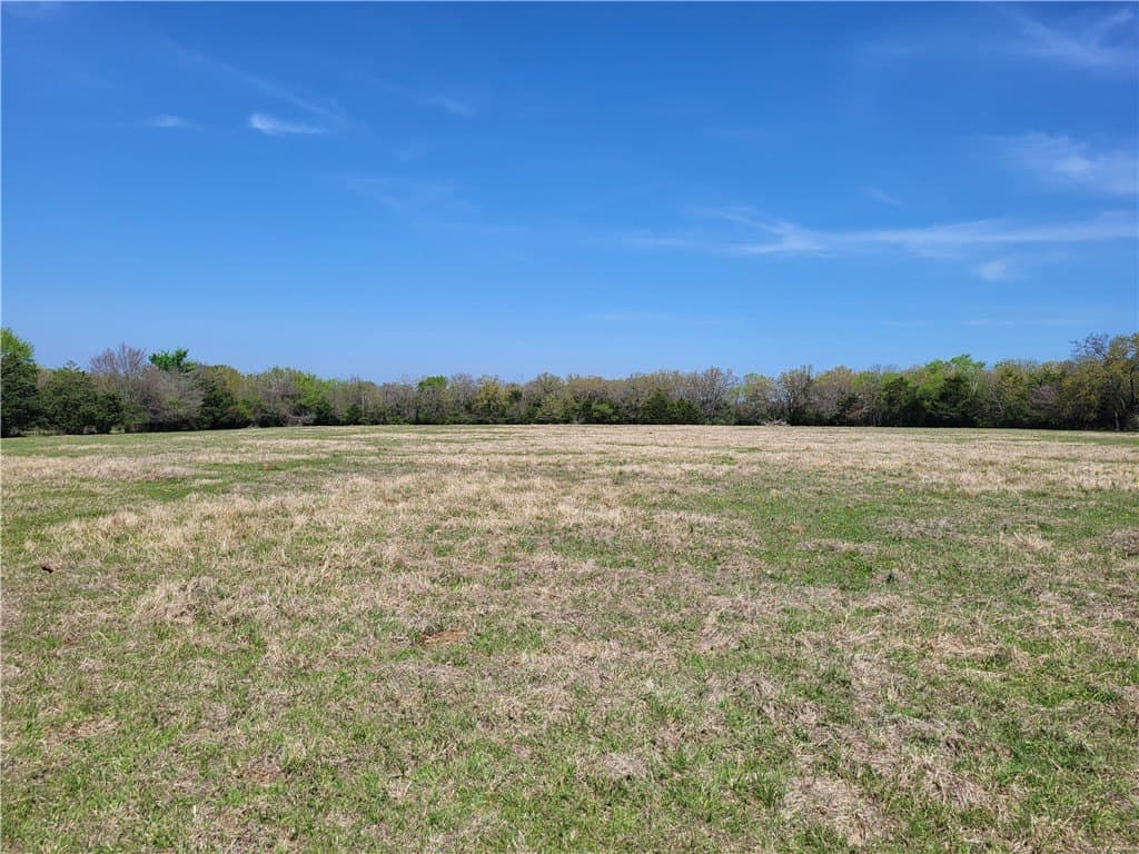 93.4 acres in Limestone County - photo 20