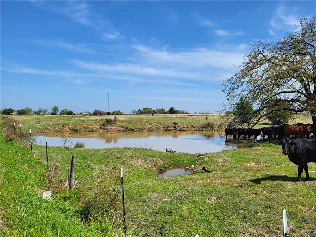 93.4 acres in Limestone County - photo 8