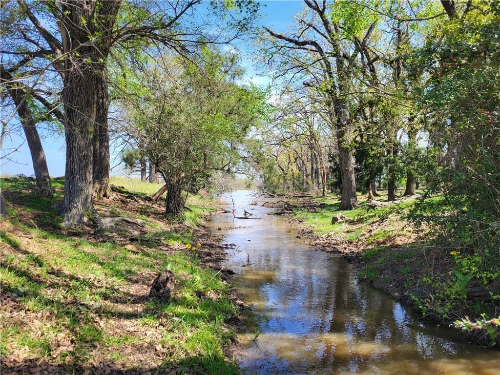 93.4 acres in Limestone County - photo 13
