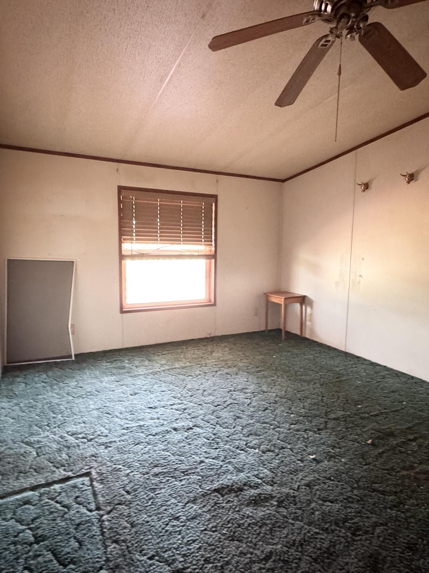 10.01 acres in Tom Green County - photo 9