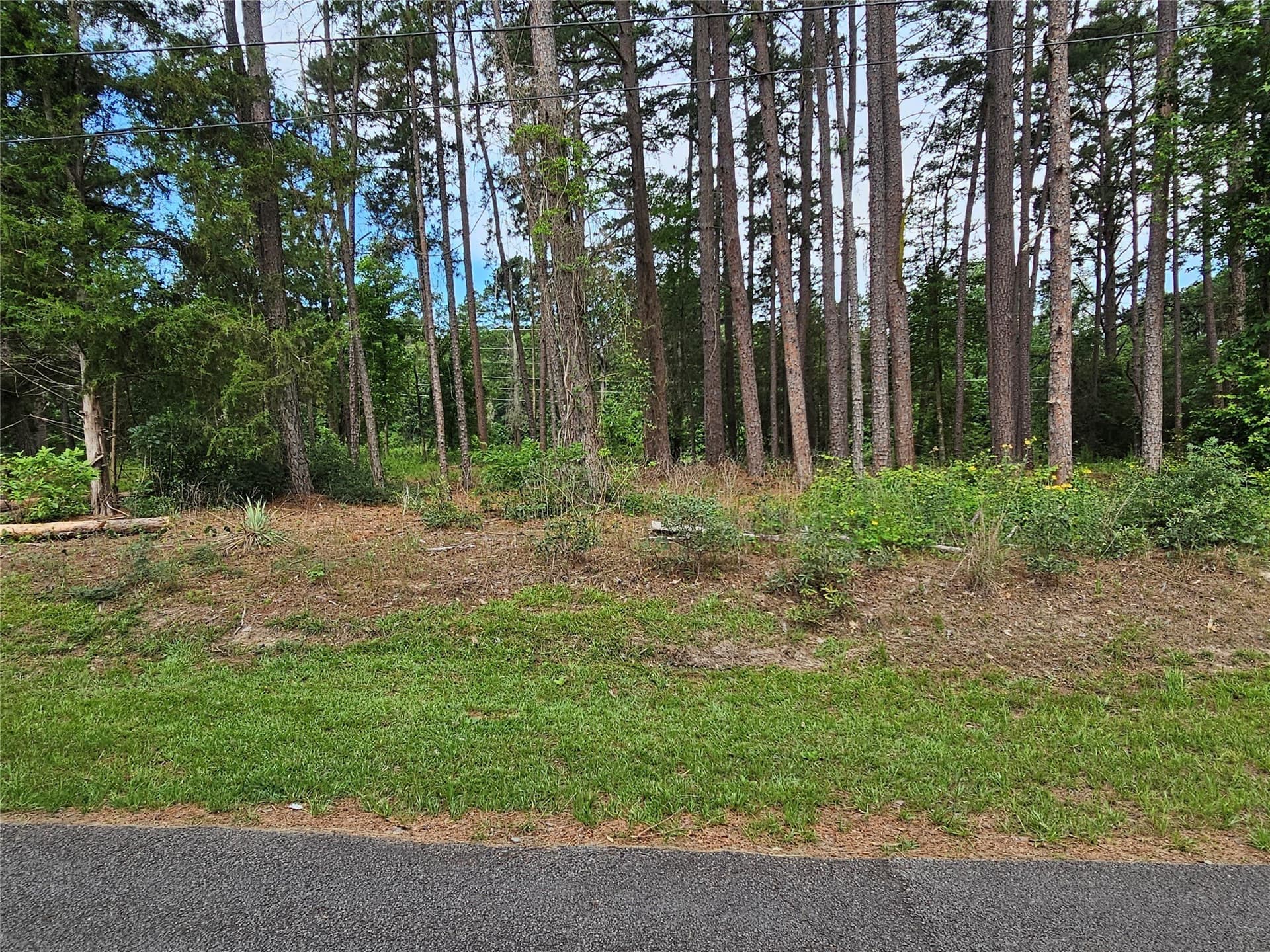 0.36 acres in Wood County - photo 13