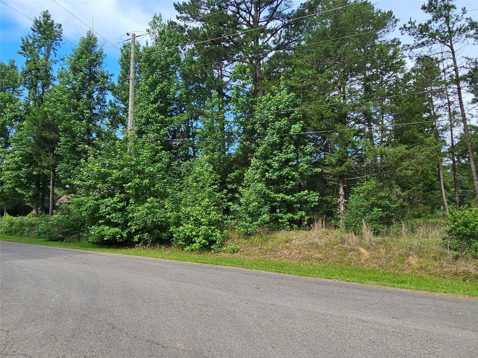 0.36 acres in Wood County - photo 16