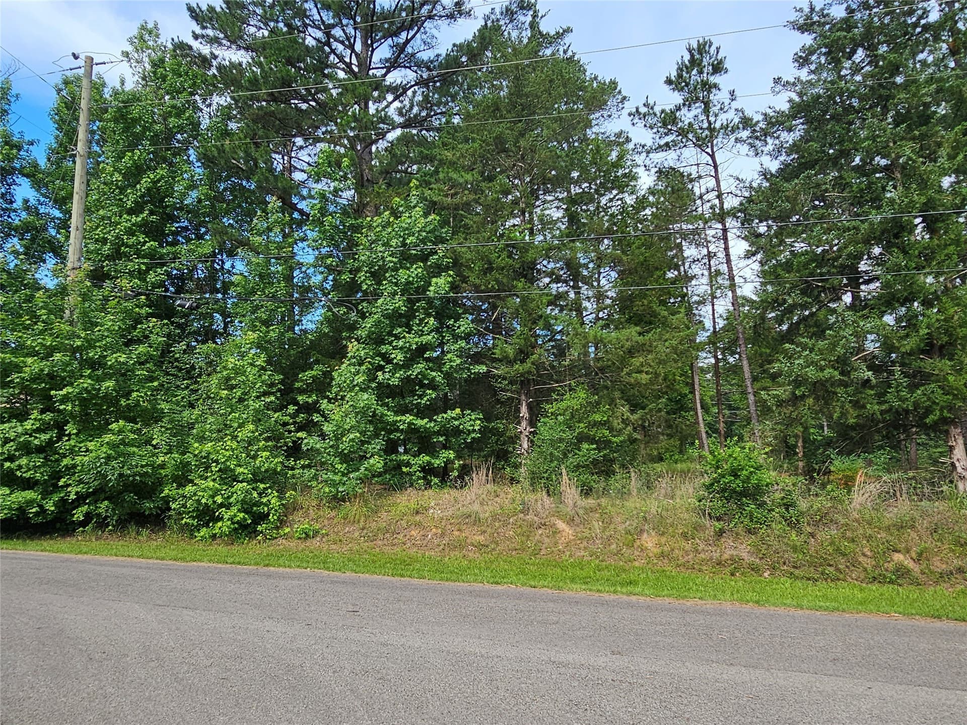 0.36 acres in Wood County - photo 15