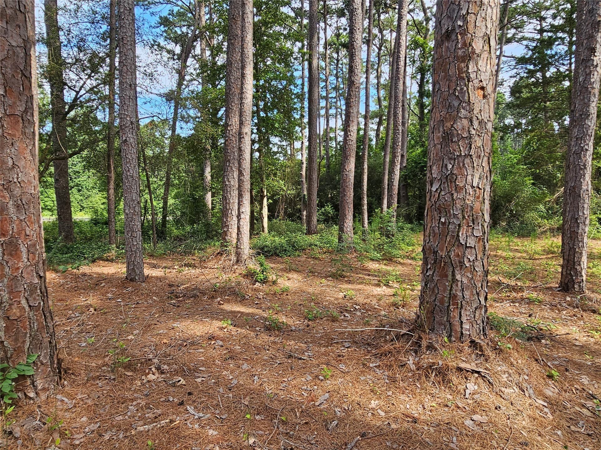 0.36 acres in Wood County - photo 9