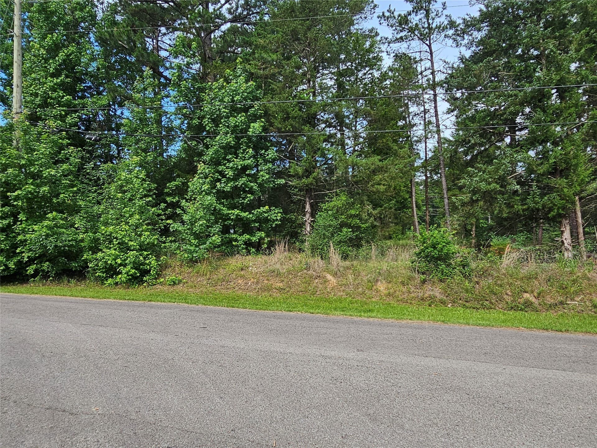 0.36 acres in Wood County - photo 14