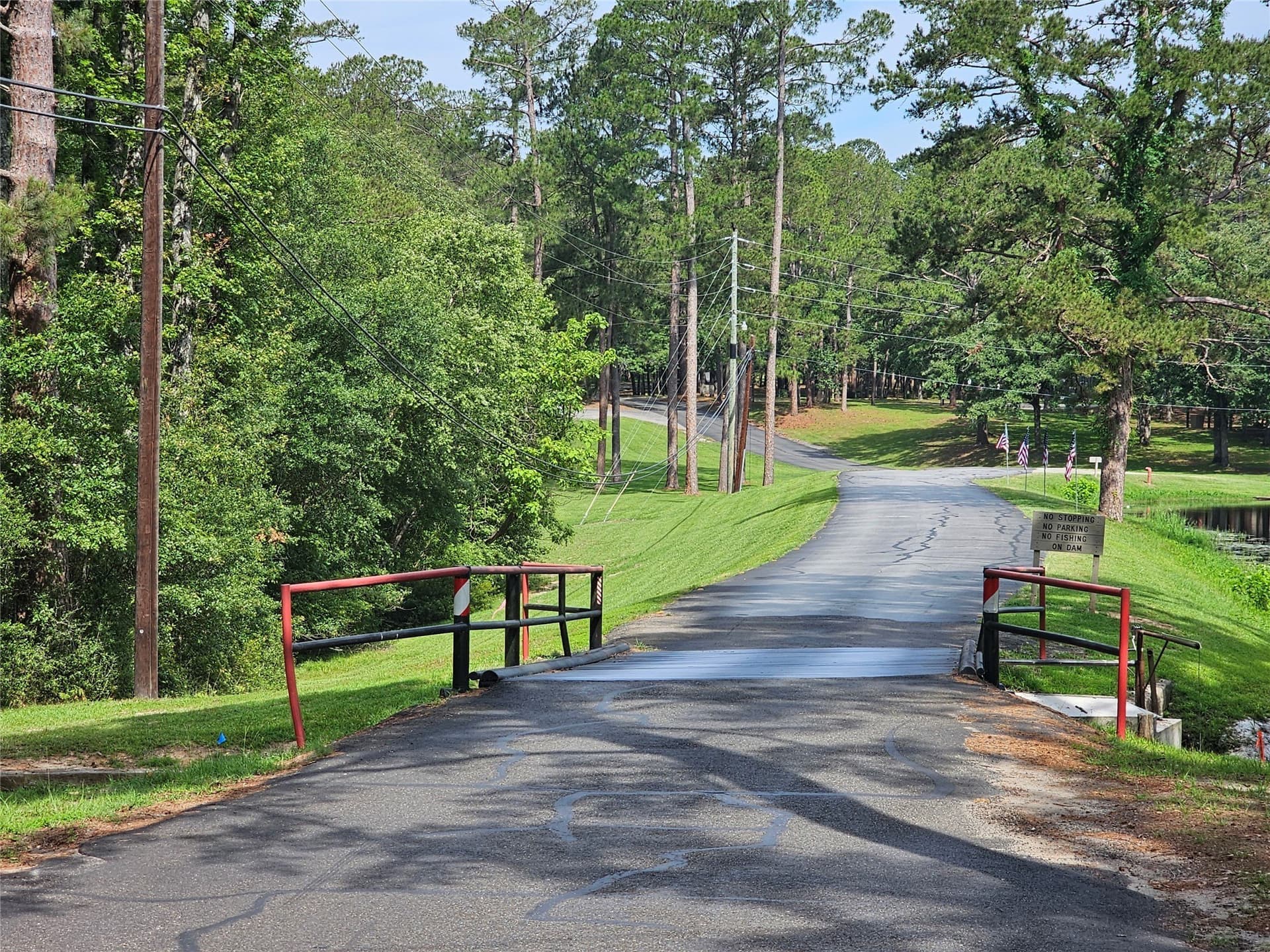 0.36 acres in Wood County - photo 22