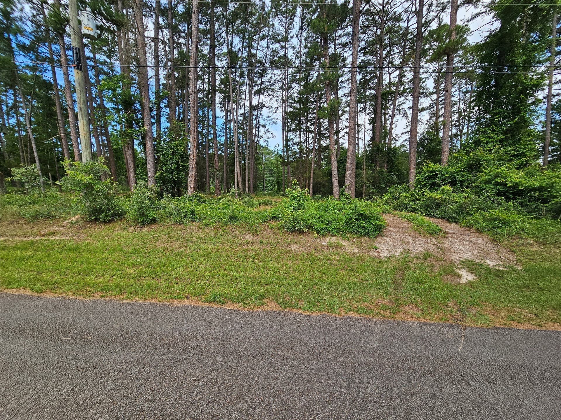 0.36 acres in Wood County - photo 11