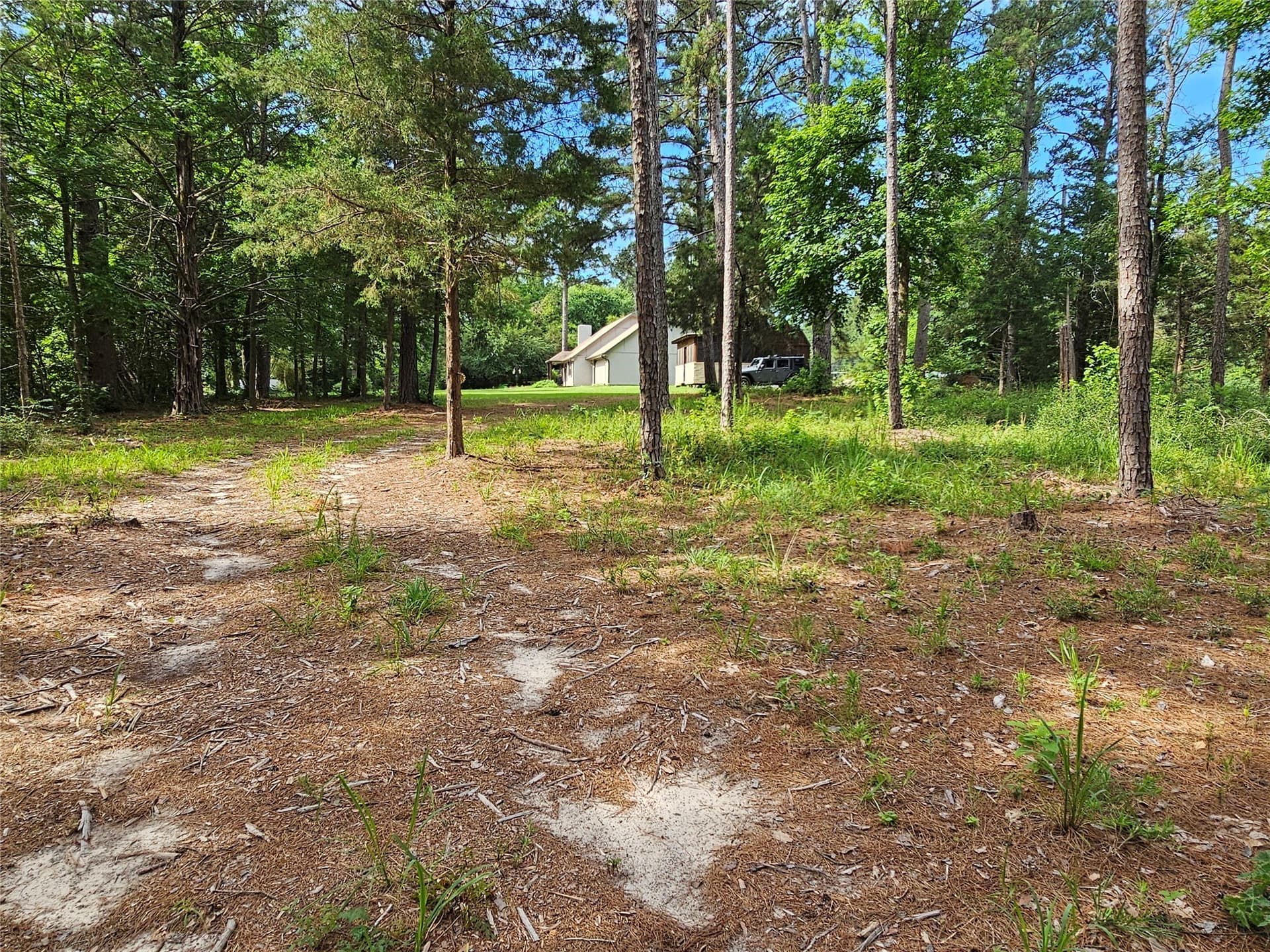 0.36 acres in Wood County - photo 6