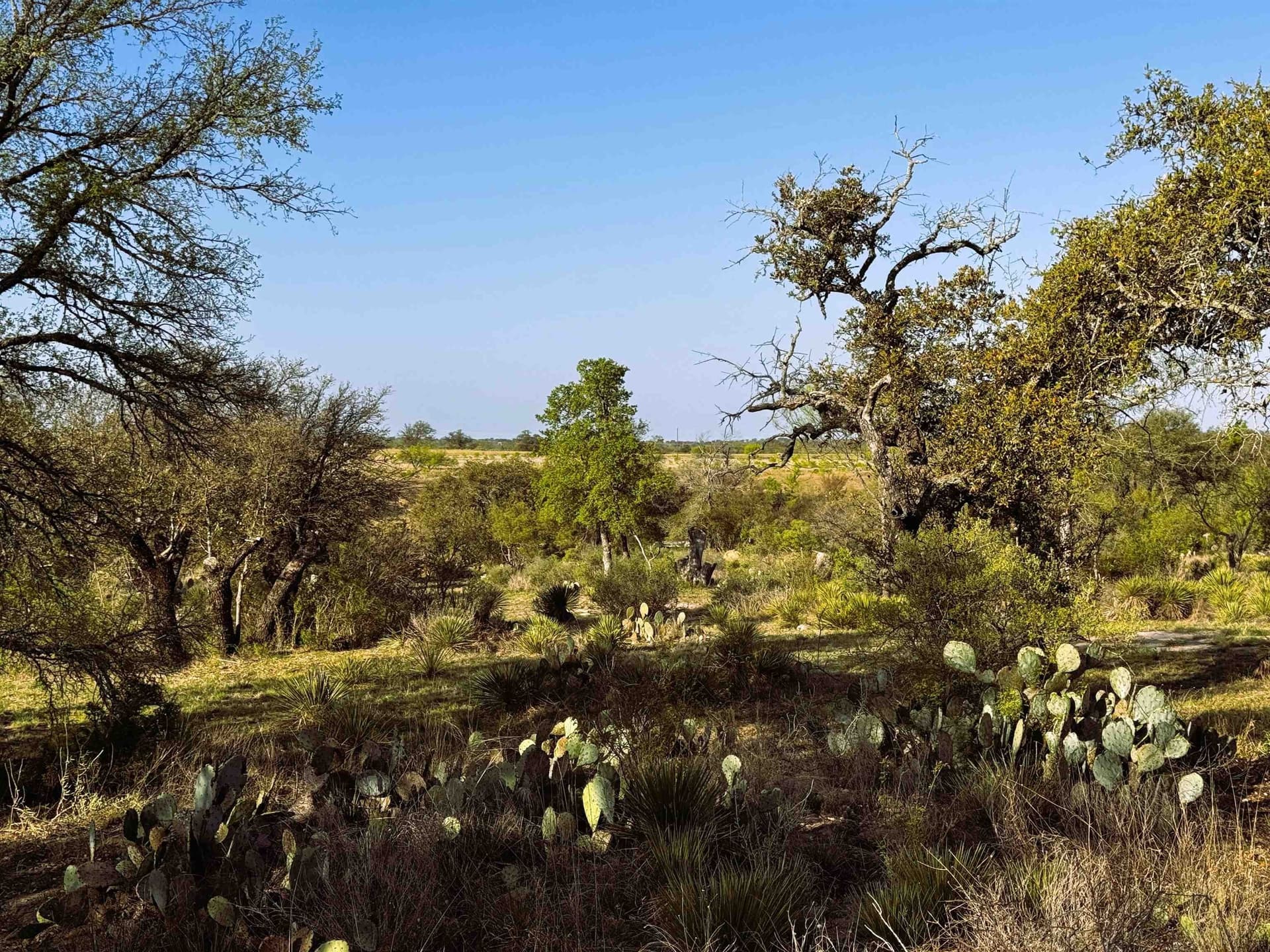 2.24 acres in Llano County - photo 12