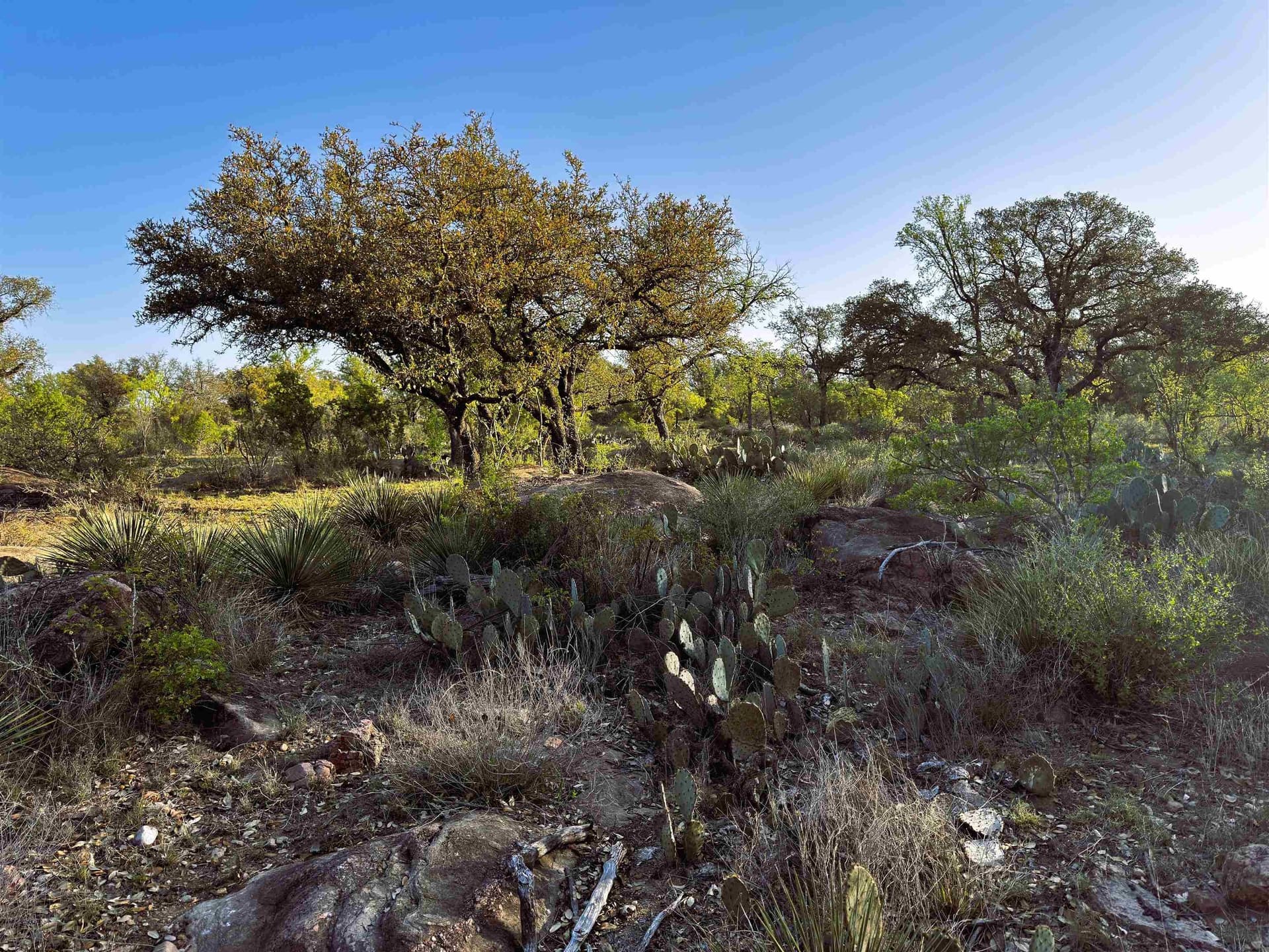 2.24 acres in Llano County - photo 14