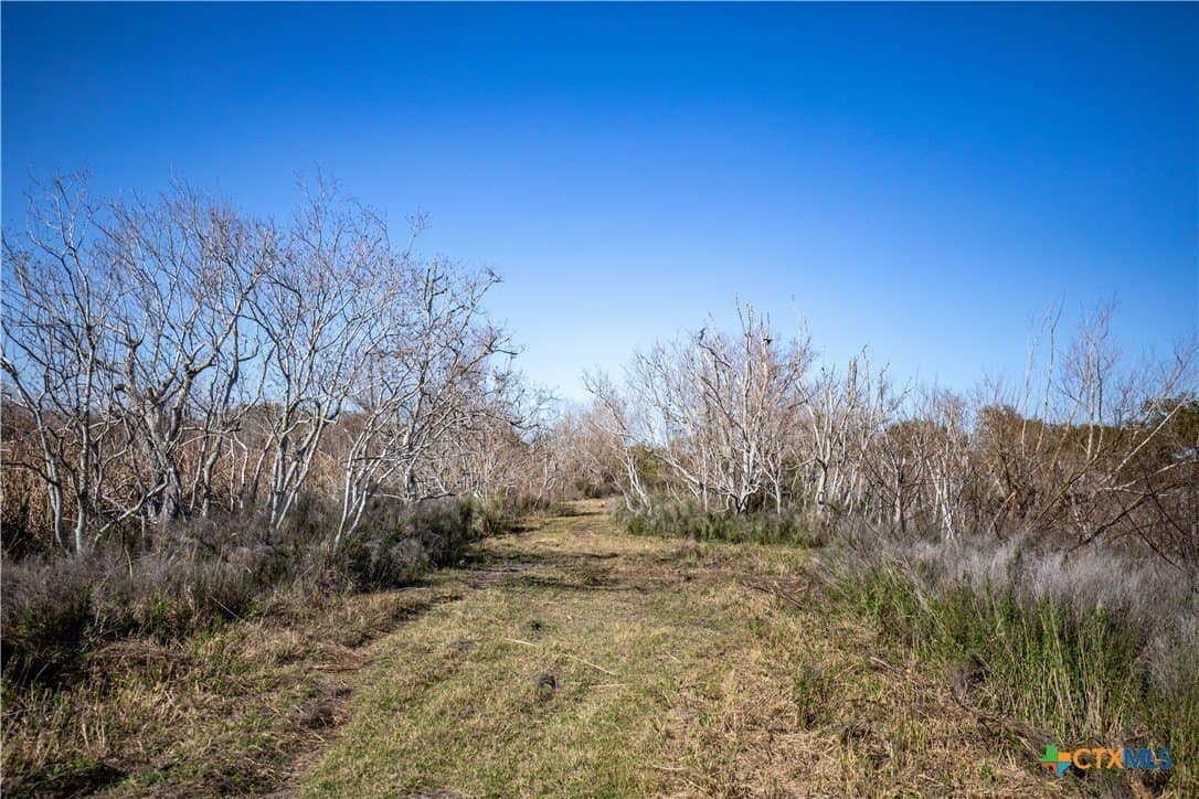 51.81 acres in Aransas County - photo 29