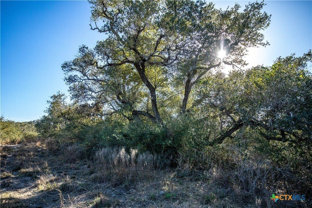 51.81 acres in Aransas County - photo 44