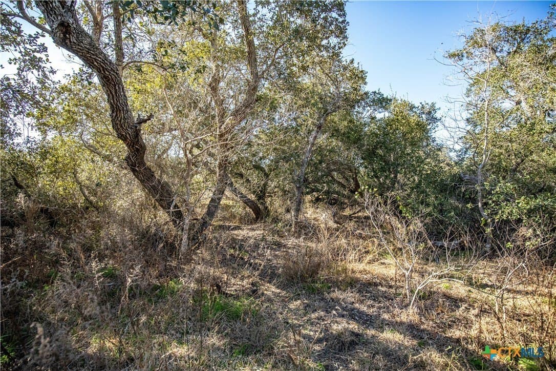 51.81 acres in Aransas County - photo 46
