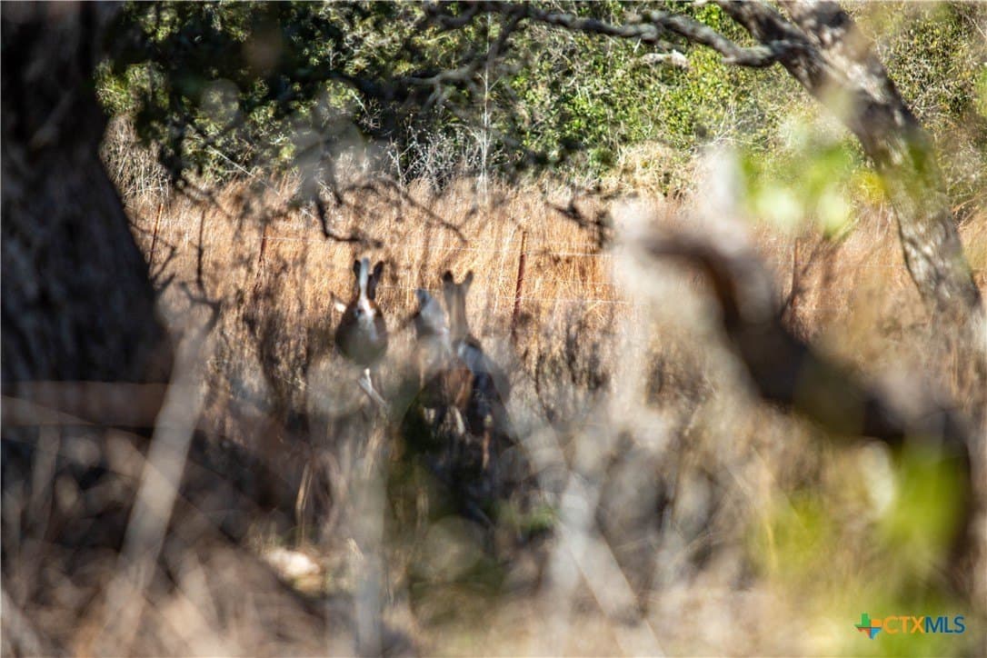 51.81 acres in Aransas County - photo 16