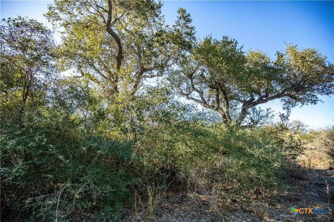 51.81 acres in Aransas County - photo 47