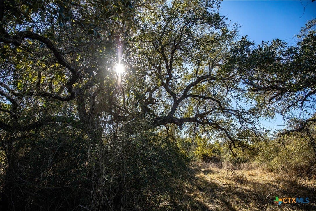 51.81 acres in Aransas County - photo 39