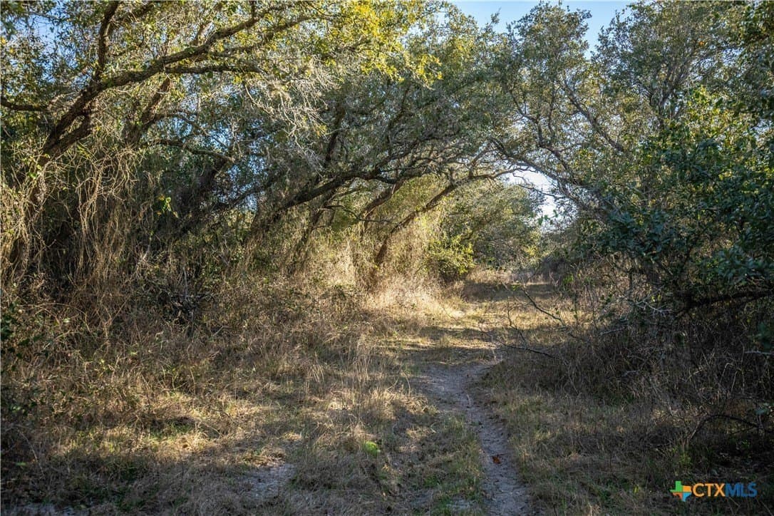 51.81 acres in Aransas County - photo 18
