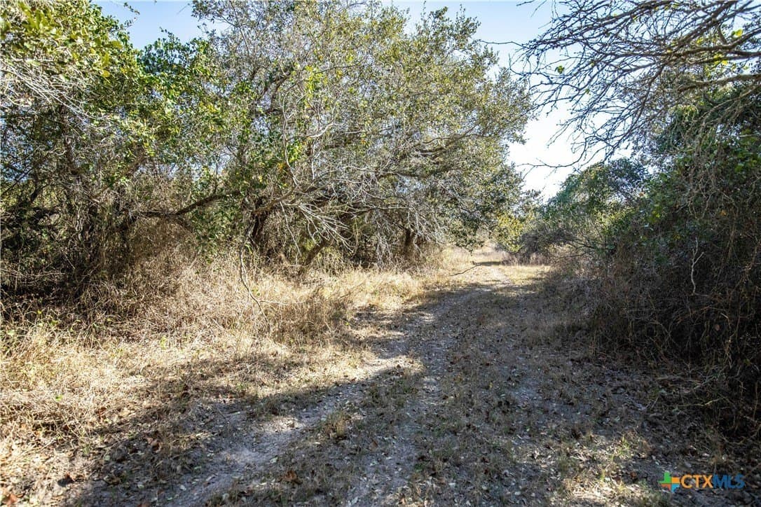 51.81 acres in Aransas County - photo 33