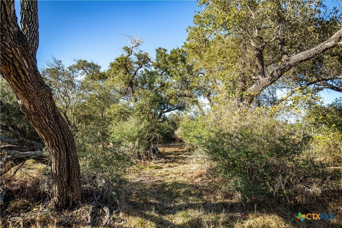 51.81 acres in Aransas County - photo 45